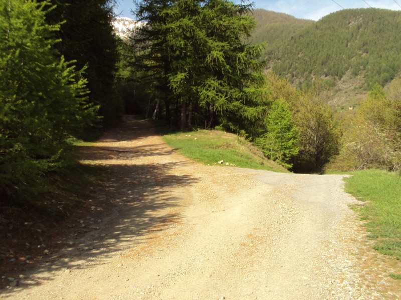 #4 montee : piste vers le serre montee : piste vers le serre