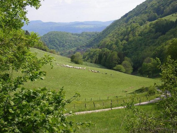 #13 Morgelas : Charmant Bugey Morgelas : Charmant Bugey
