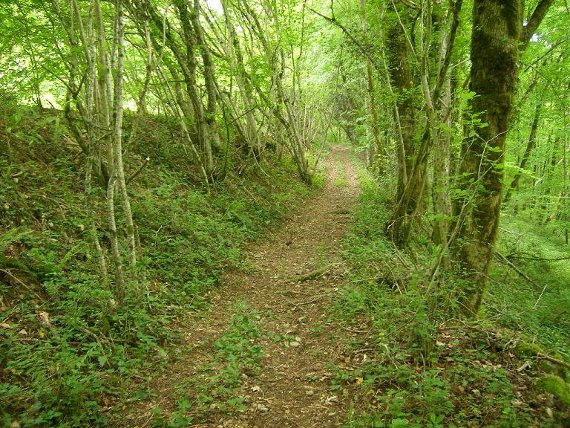 #11 Direction Nivollet : Par le fond du vallon. Direction Nivollet : Par le fond du vallon.