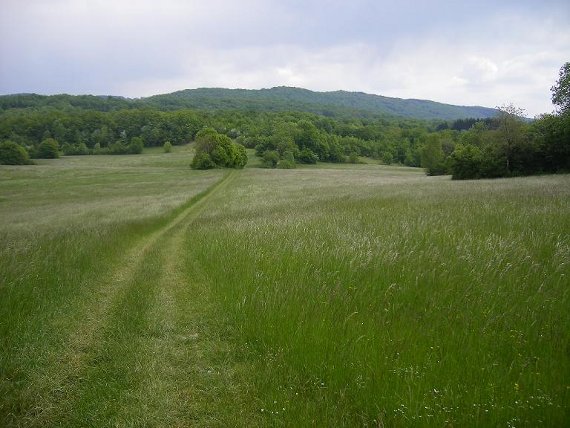 #2 Plateau de Varey : Prairie du sommet Plateau de Varey : Prairie du sommet