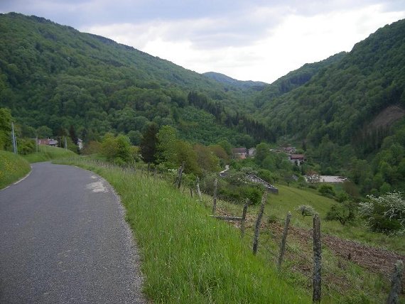 #10 St Jérôme St Jérôme