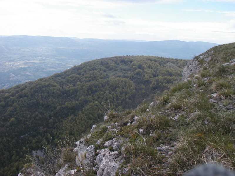 #14 La pierre à chanduraz : La descente passe en face dans les clairières La pierre à chanduraz : La descente passe en face dans les clairières