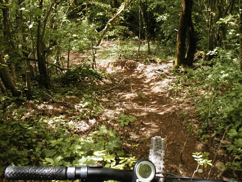 #2 piste de descente : la piste coupe entre les épingles vers les perches. C piste de descente : la piste coupe entre les épingles vers les perches. C'est bien raide