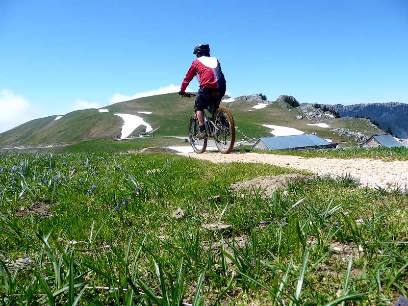 #3 Chalets : Retour aux Chalets avant la traversée par les alpages. Chalets : Retour aux Chalets avant la traversée par les alpages.