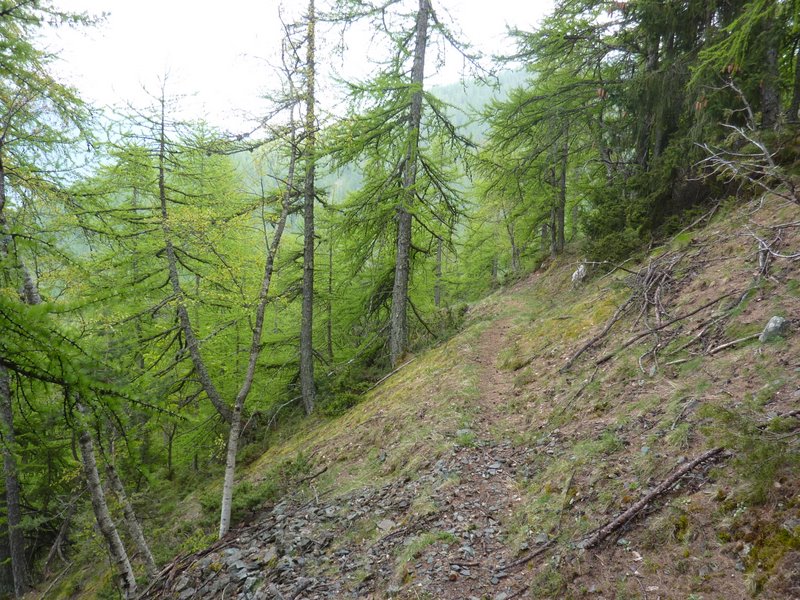 #15 Sous le collet de Léchio : Sentier lisse et glissouillant Sous le collet de Léchio : Sentier lisse et glissouillant