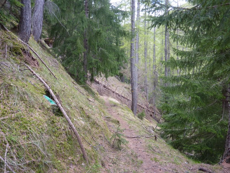 #11 Arbre couché : Que c Arbre couché : Que c'est pénible