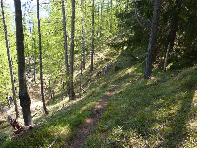 #6 Descente du Lauset (Amont) : Là ça roule Descente du Lauset (Amont) : Là ça roule