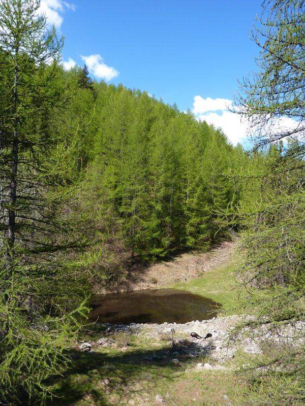 #7 Source : La source jailli en plein milieu du sentier et forme ce petit étang en contrebas Source : La source jailli en plein milieu du sentier et forme ce petit étang en contrebas
