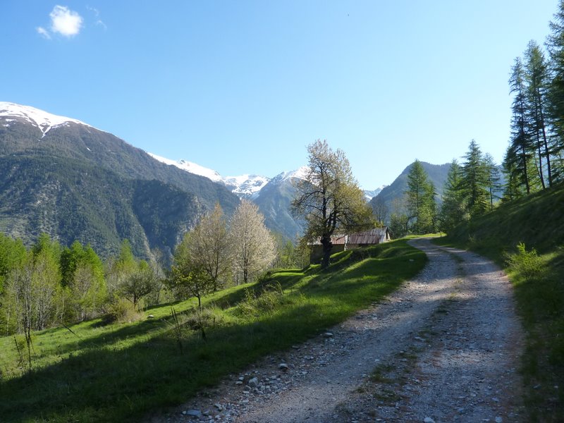 #3 Piste du Louch : Le St Sauveur est encore enneigé Piste du Louch : Le St Sauveur est encore enneigé
