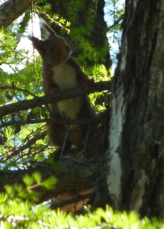 #5 Caisse d Caisse d'épargne : Rencontre sympathique