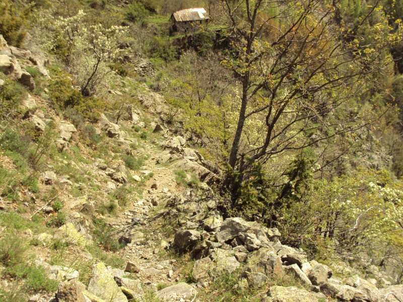 #14 descente : chemin pas evident descente : chemin pas evident