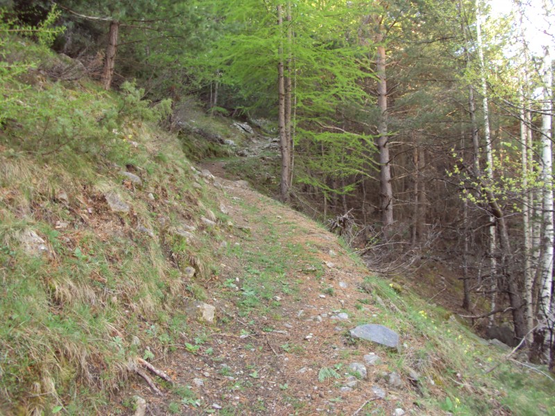 #5 chemin evident : trace evident chemin evident : trace evident