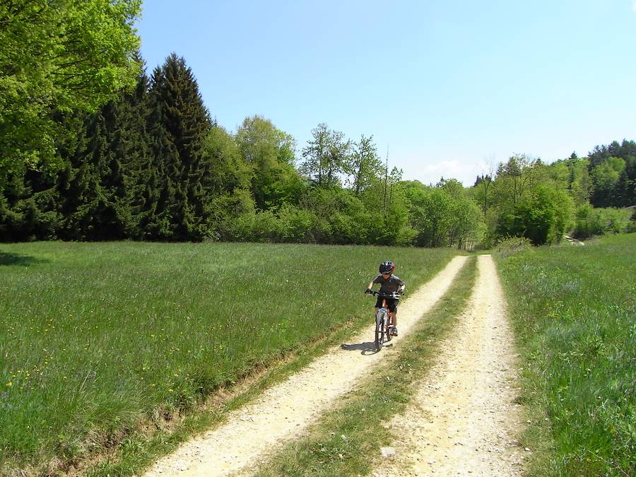 #2 piste : Quentin sur un terrain idéal pour rouler piste : Quentin sur un terrain idéal pour rouler