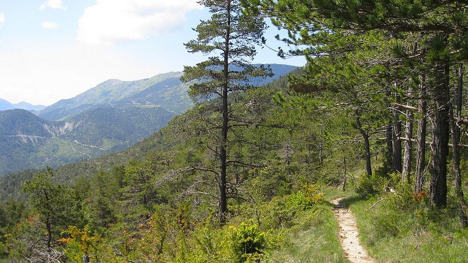 Col de Faraud : Début de la descente sur la Chapelle