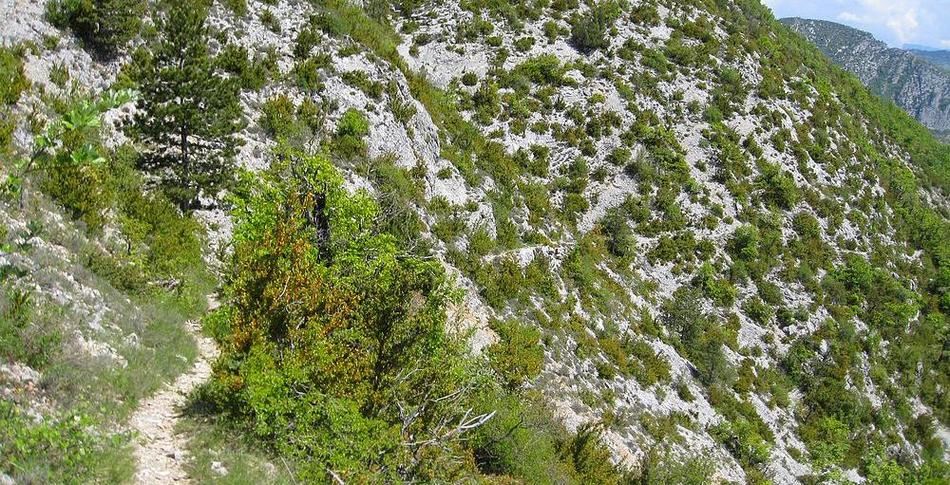 Les Clots de Brachet : Début de la longue traversée jusqu'au col de Betton