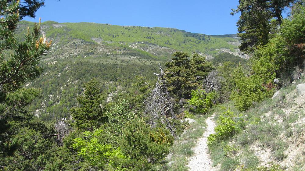 Encore du bon sentier : au niveau de Serre la Croix