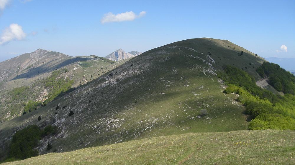 La Gde Plaine : vue du côté sud