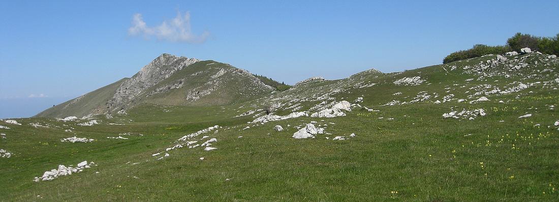 Le Pré du Boeuf : Mode freeride conseillé !