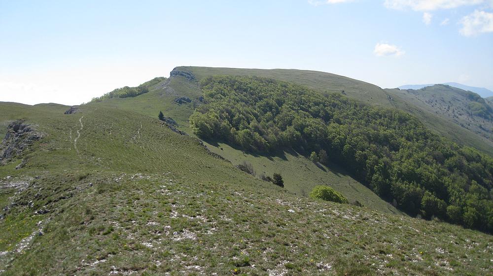 La Grande Plaine : Le 2ème point haut du parcours