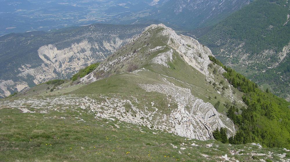 Arête NO du Gd Delmas : C'est là que le portage est rude, on voit le sentier sortir de la forêt