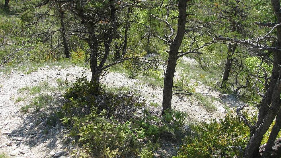 et ça finit : avec de belles épingles tout en rondeur