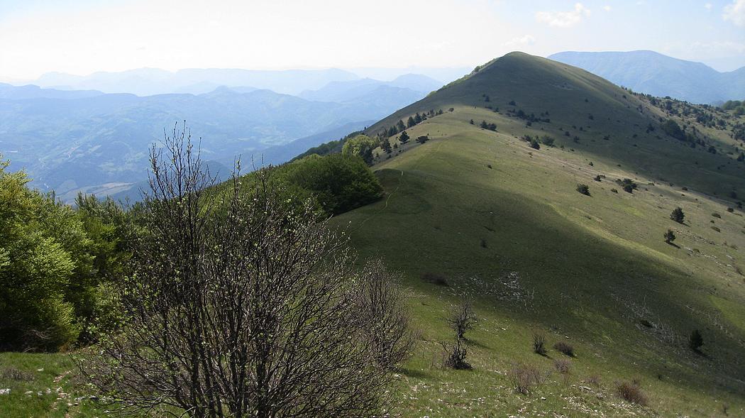 Col 1427m en vue : Sympa ces crêtes