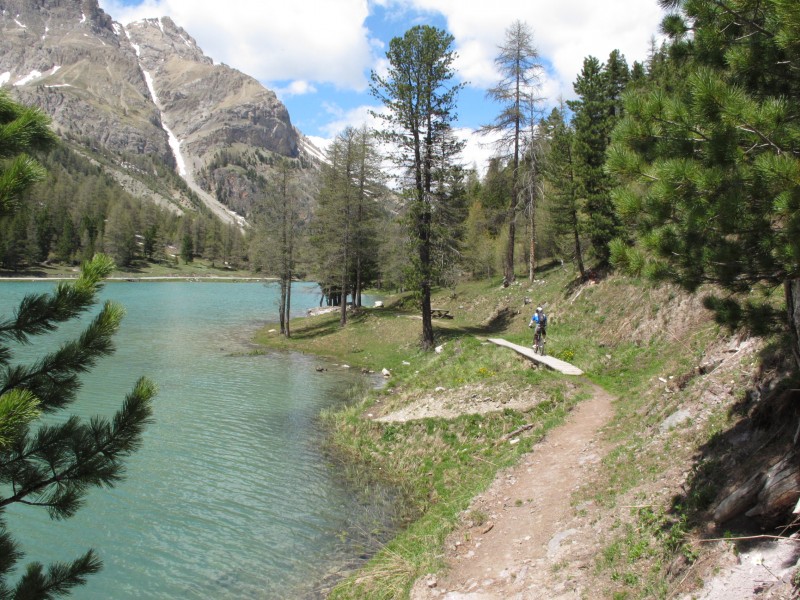 #9 Lac de l Lac de l'Orceyrette : Descente rive gauche puis on récupère le sentier FFC n°7 qui descend jusqu'au col des Ayes en longeant le lit de la rivière : un très bon choix !