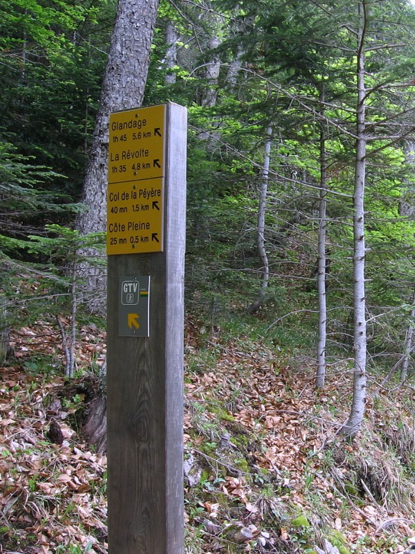 Panneautage : Ne suivez pas l'indication pour randonneurs. Restez sur la piste jusqu'à croiser une piste descendante sur votre droite.