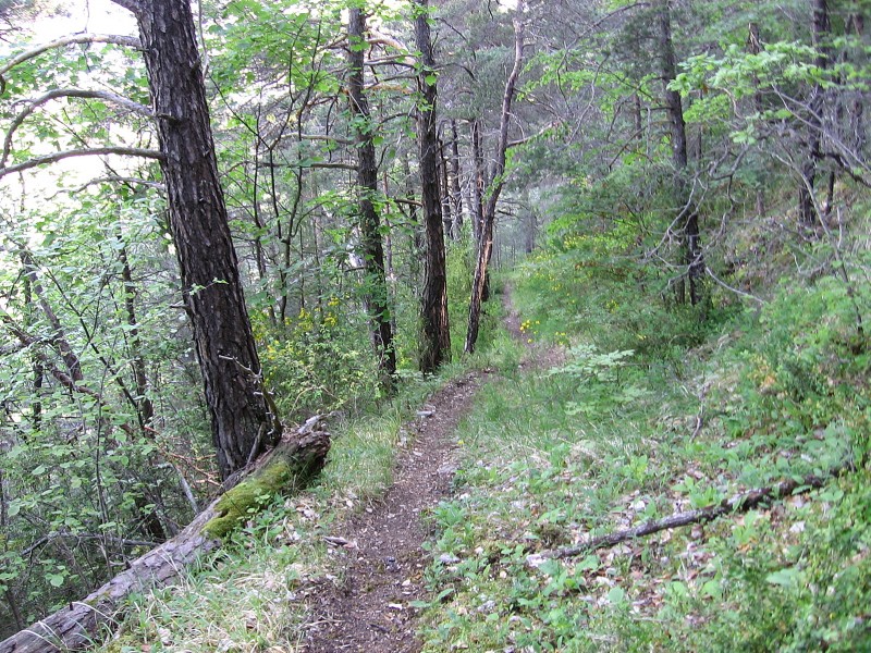 Sentier des ruines du Chateau : Bien propre