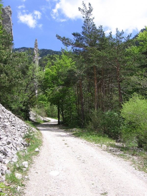 Sucettes de Bornes : Quel joli sentier pour y arriver