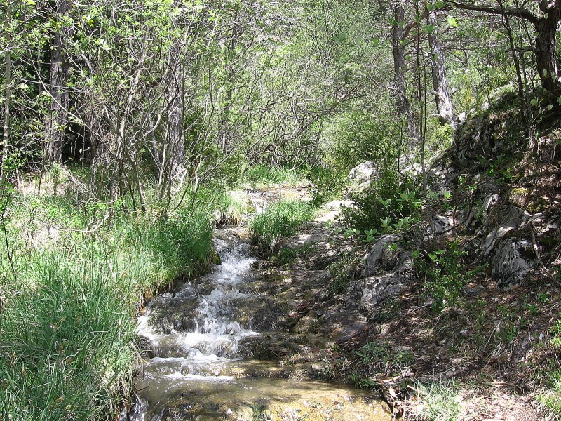 #8 Ruisseau de Combe Ramas : Sentier et lit du ruisseau. Attention au grip! Ruisseau de Combe Ramas : Sentier et lit du ruisseau. Attention au grip!