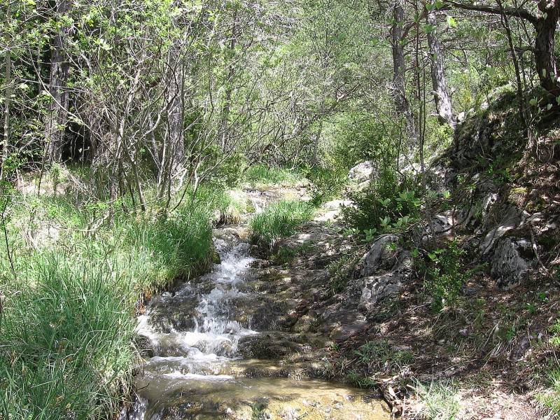 Ruisseau de Combe Ramas : Sentier et lit du ruisseau. Attention au grip!