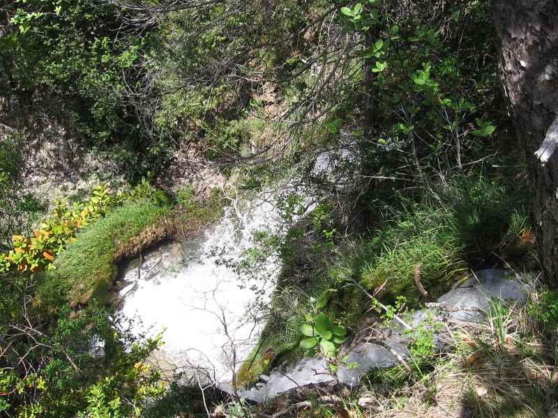 Cascade du ruisseau de combe R : Rafraîchissante la douche Tahiti.