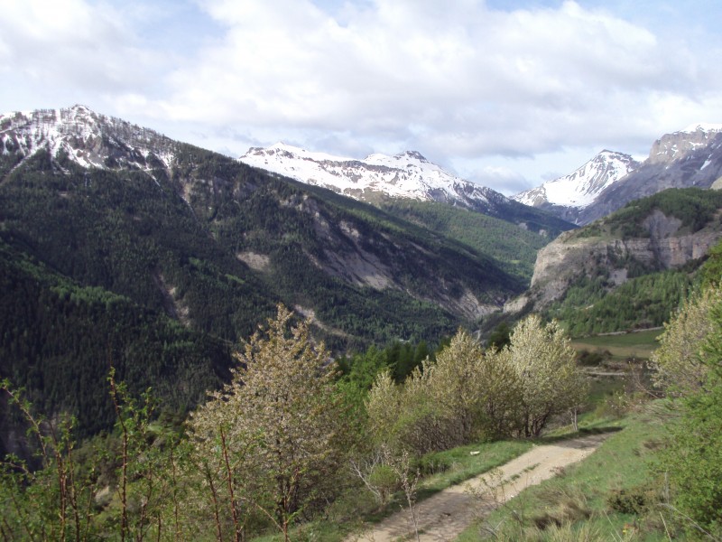 #2 paysage : mont rion et triboulet paysage : mont rion et triboulet