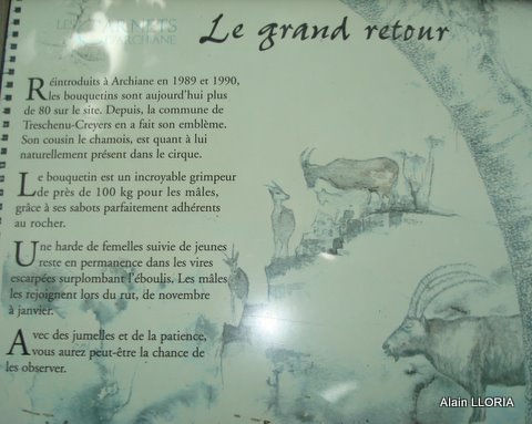 #11 Archiane : Un peu de culture Archiane : Un peu de culture