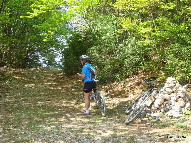 #7 Archiane : Départ du sentier de Tussac Archiane : Départ du sentier de Tussac