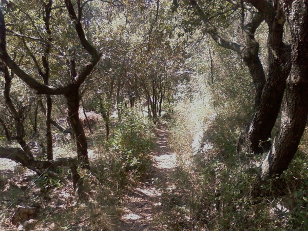 #2 passage en sous-bois : Cette variante réserve d passage en sous-bois : Cette variante réserve d'agréables passages en sous-bois.