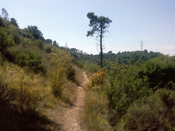 #4 GR 51 : Voilà le plateau Tercier, toujours aussi agréable à parcourir ! GR 51 : Voilà le plateau Tercier, toujours aussi agréable à parcourir !