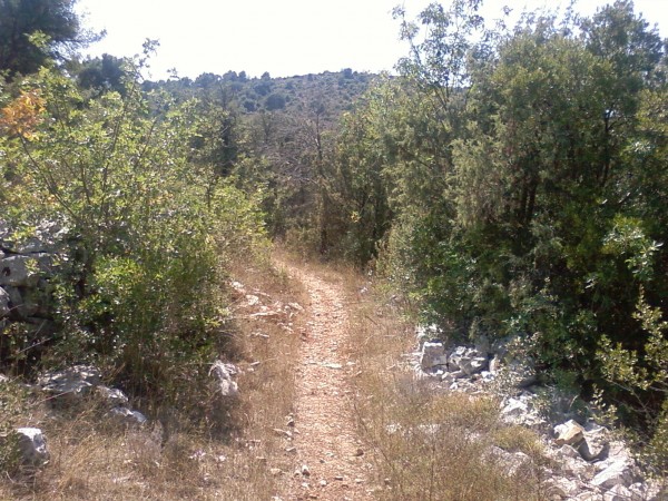 #3 Bientôt le GR 51 : Juste avant de rejoindre le GR 51 qui parcours le plateau TERCIER Bientôt le GR 51 : Juste avant de rejoindre le GR 51 qui parcours le plateau TERCIER