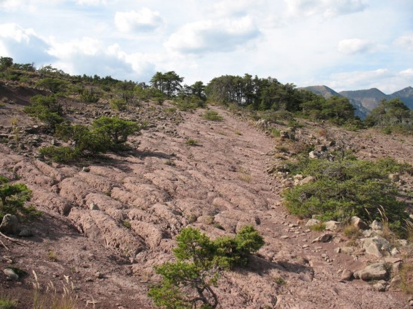#6 le Patègue : le sentier du Patègue le Patègue : le sentier du Patègue