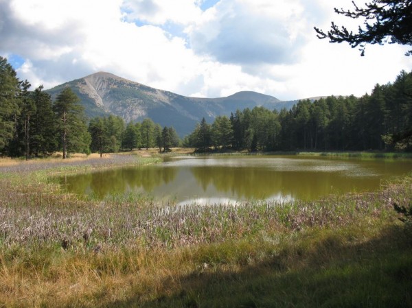 #1 Lac d Lac d'Esparron : Le lac d'Esparron