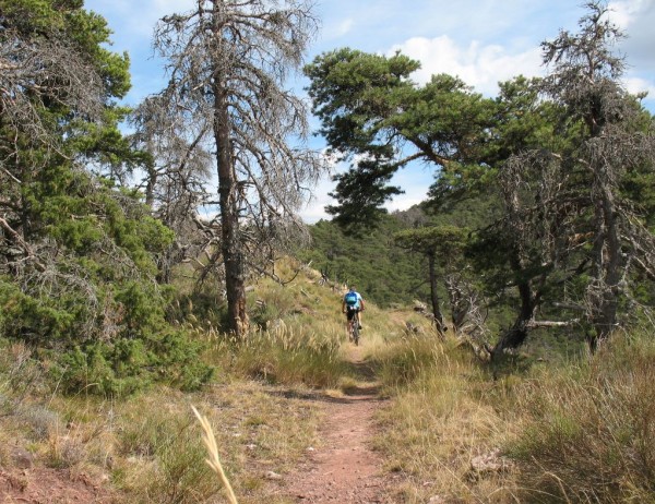 #7 le Patègue : Retour vers Esparron par le sentier du Patègue le Patègue : Retour vers Esparron par le sentier du Patègue