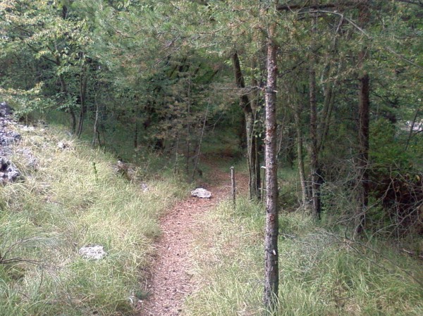 #6 Superbe sentier : C Superbe sentier : C'est génial, il n'y a qu'à se laisser rouler !