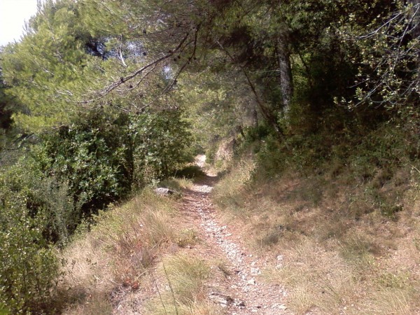 #1 Sentier du Fort : Jusqu Sentier du Fort : Jusqu'ici c'est très bien !