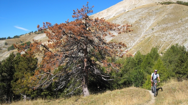 Col de Conode : Arrivée au Col