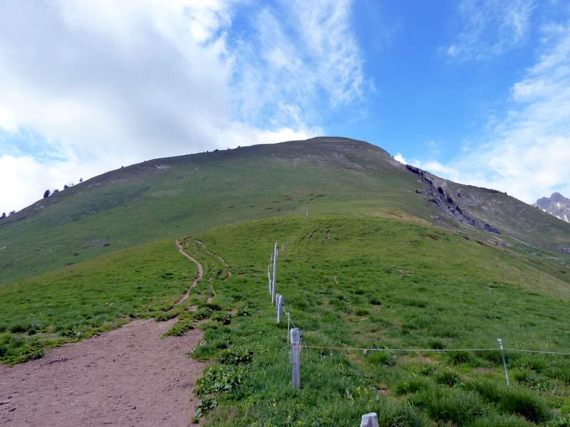 #6 Pte d Pte d'Uble : La face S descendue mi-sentier, mi-freeride