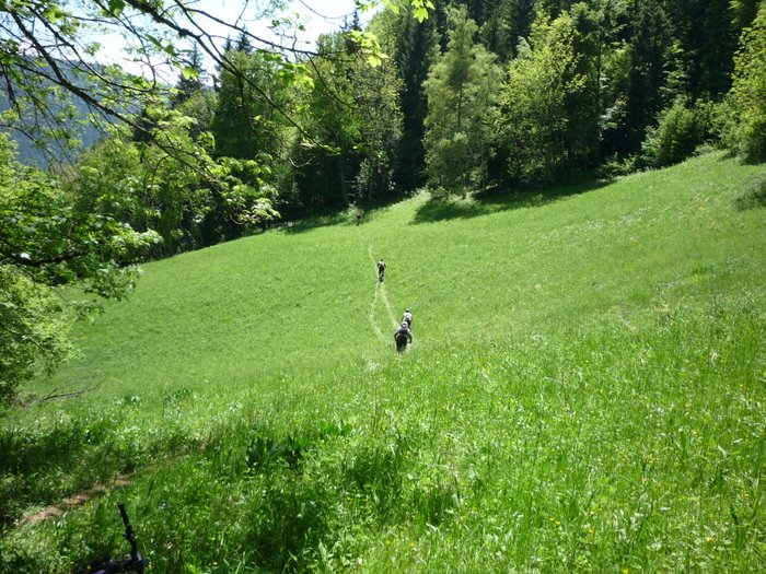 #11 La clairière : Y La clairière : Y'a bon dans la traversée du Churut