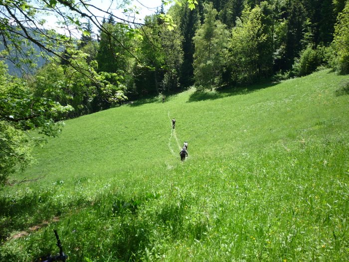 La clairière : Y'a bon dans la traversée du Churut