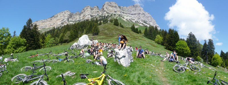#3 Vélos au repos : Les vélos à la sieste Vélos au repos : Les vélos à la sieste
