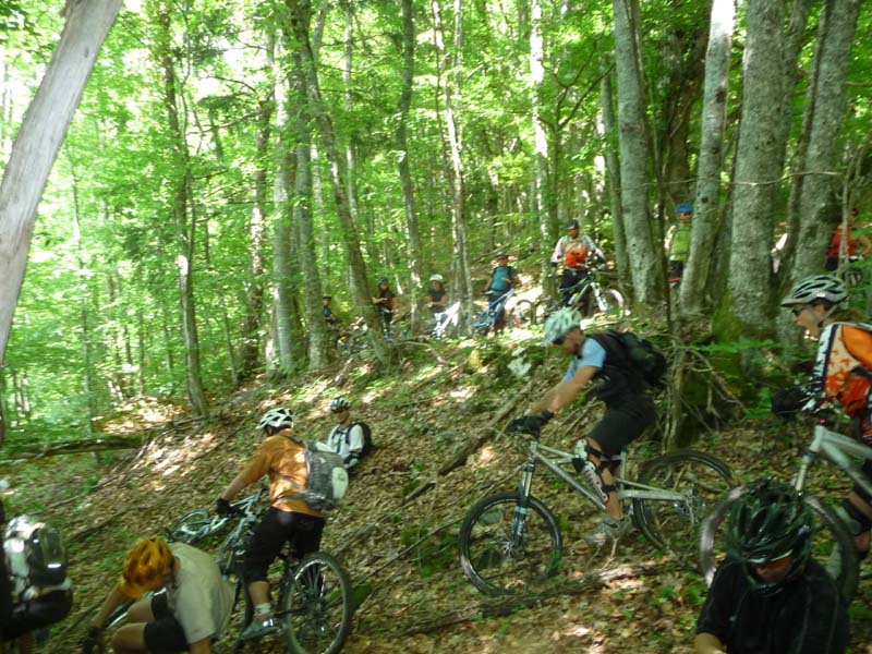 File indienne dans les bois : Marco, chef topo suivit par la meute